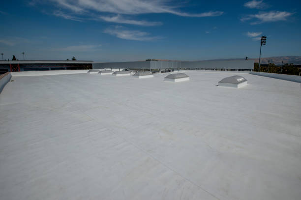 Best Steel Roofing  in Thunder Mountain, NM