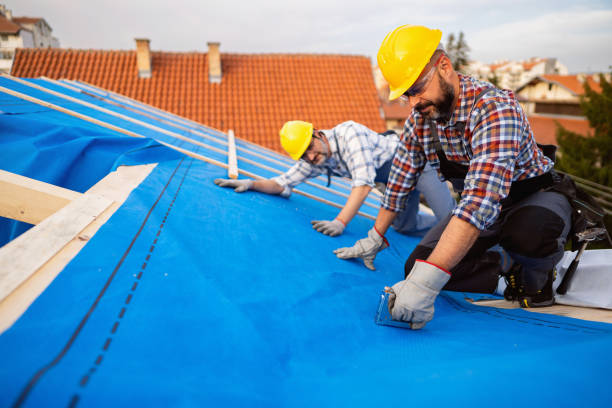 Best Roof Ventilation Installation  in Thunder Mountain, NM